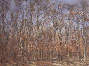 Ferdinand Hodler The Beech Forest (nn02) oil painting reproduction